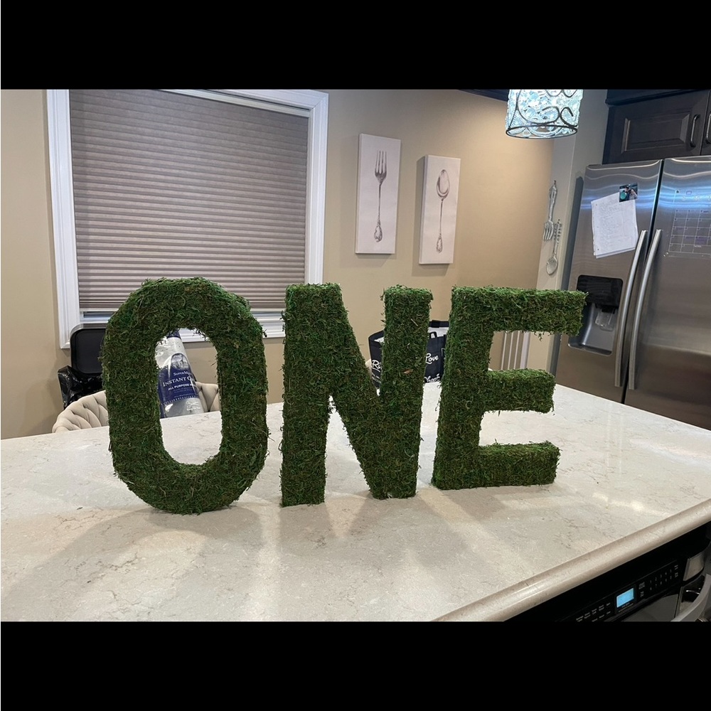 Moss-Covered ONE Decorative Letters - Picture 3 of 4